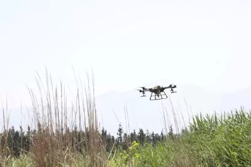 HBB DRONE İLAÇLAMALARINA BAŞLADI