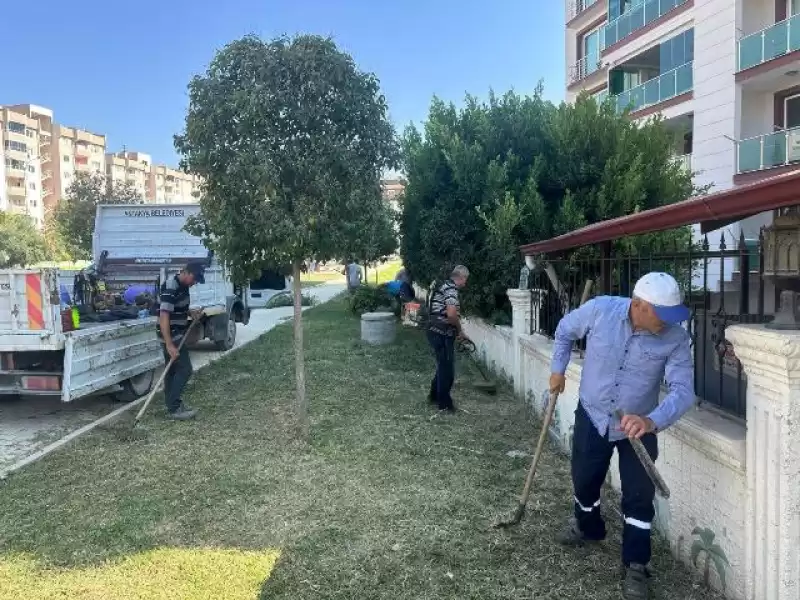 ANTAKYA’DA PARK VE YEŞİL ALANLARDA BAKIM ÇALIŞMALARI SÜRÜYOR