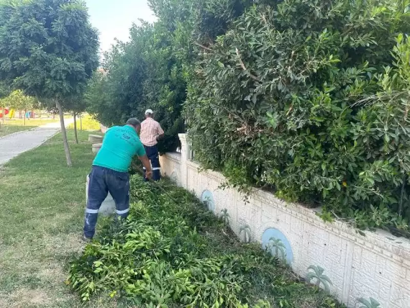 ANTAKYA’DA PARK VE YEŞİL ALANLARDA BAKIM ÇALIŞMALARI SÜRÜYOR