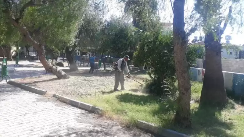 ANTAKYA'DA SICAKLAR ARTTI, İLAÇLAMA ÇALIŞMALARIDA ARTTIRILDI