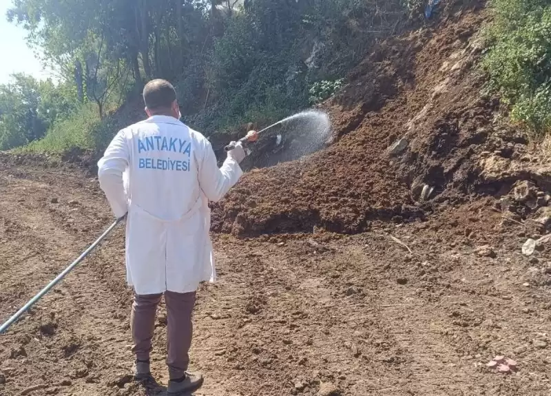 Antakya Belediyesi Şehir Genelinde Ilaçlama çalışmalarını Sıklaştırdı