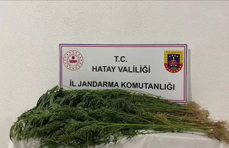 HATAY İL JANDARMA’NIN BAŞARILI OPERASYONLARI DEVAM EDİYOR