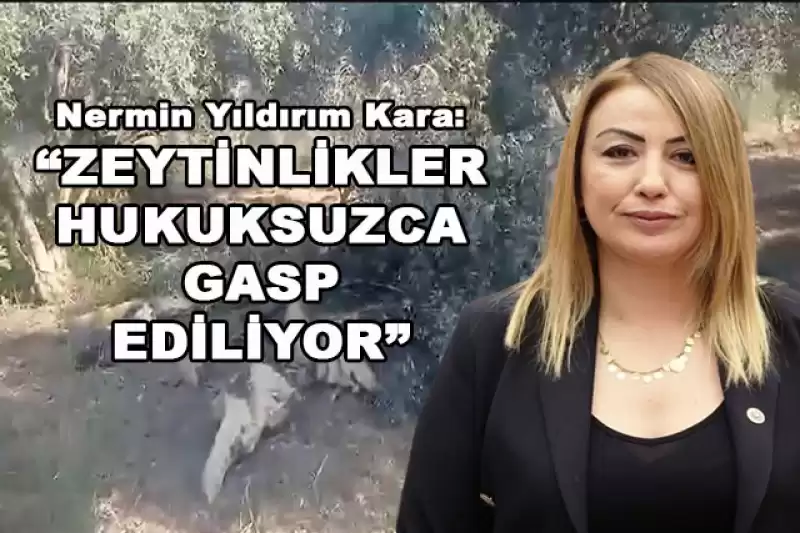 YILDIRIM KARA ZEYTİNLİKLERE SAHİP ÇIKIYOR