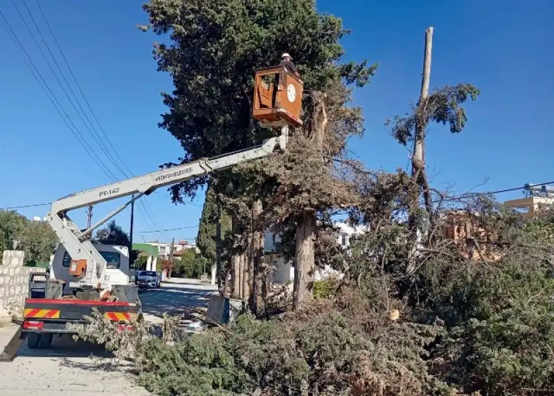 Antakya’nın Park Ve Yeşil Alanlarında Bakım Ve Onarım çalışmaları Devam Ediyor