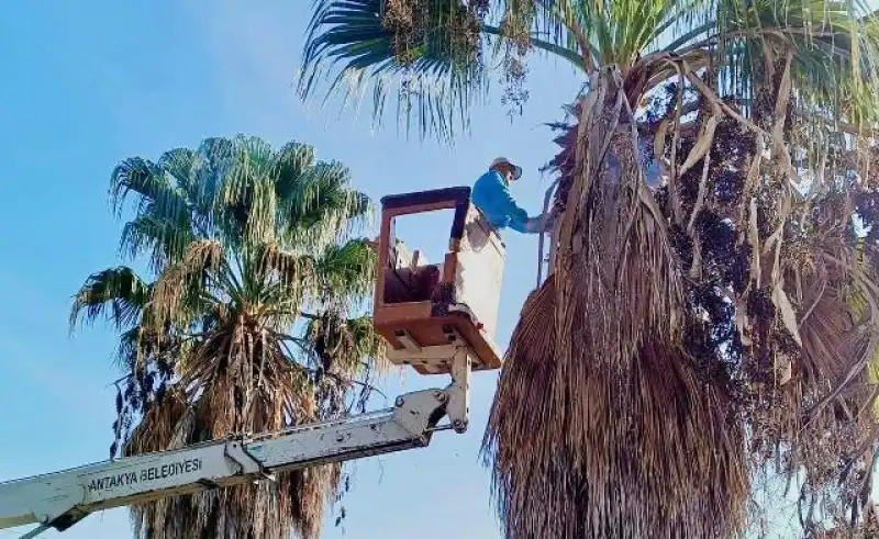 ANTAKYA’NIN PARK VE YEŞİL ALANLARI KIŞA HAZIR...