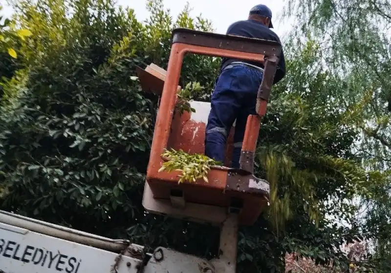 Antakya’da Park Ve Yeşil Alanlarda çalışmalar Sürüyor