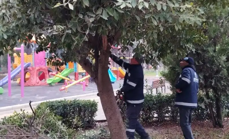 Antakya’da Park Ve Yeşil Alanlarda çalışmalar Sürüyor